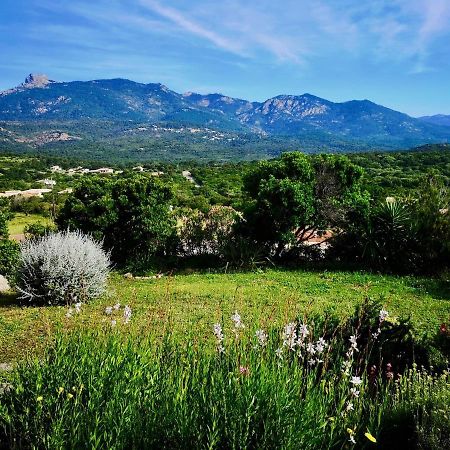 Appartements Avec Jardin Entre Porto-Vecchio Et Figari - Casa Mattiste Sotta Esterno foto