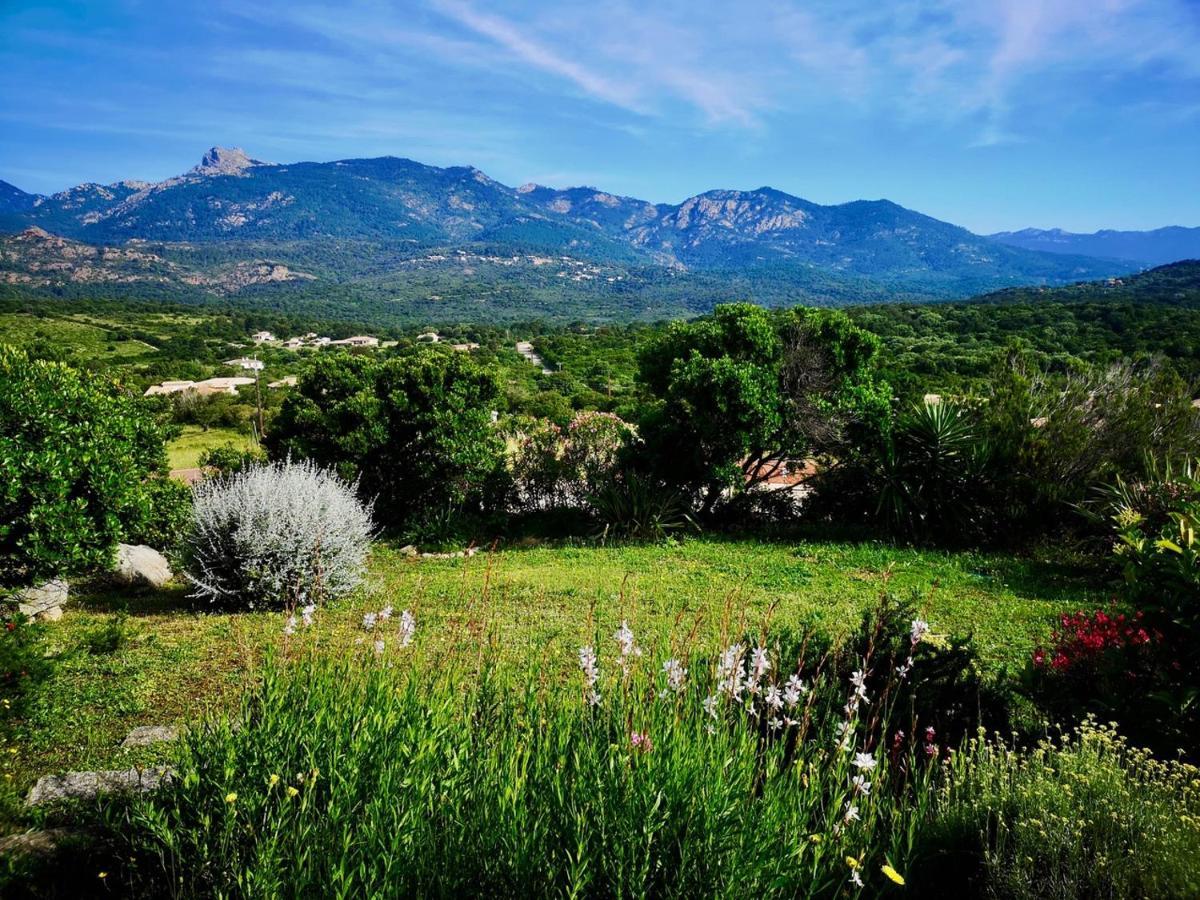 Appartements Avec Jardin Entre Porto-Vecchio Et Figari - Casa Mattiste Sotta Esterno foto