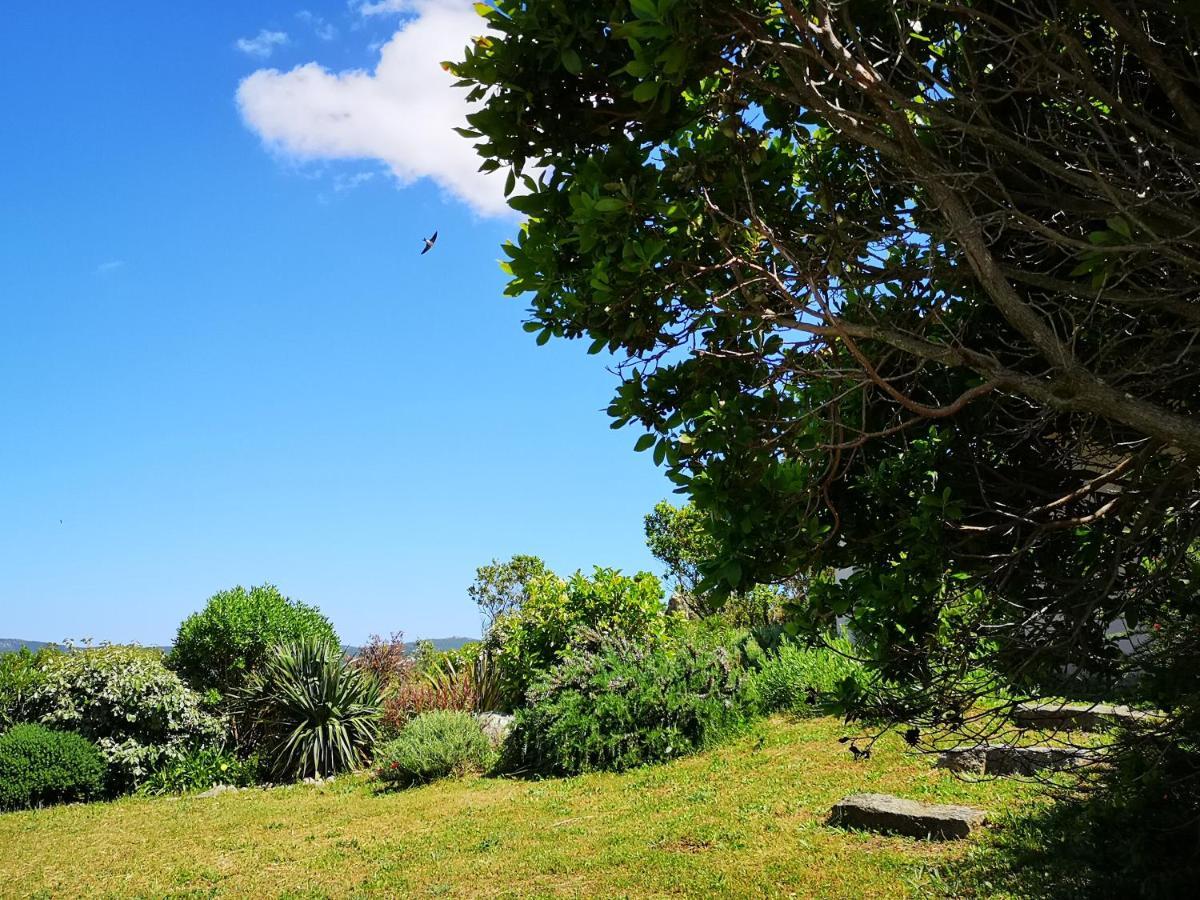 Appartements Avec Jardin Entre Porto-Vecchio Et Figari - Casa Mattiste Sotta Esterno foto